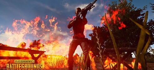 社交媒体已 社交媒体已